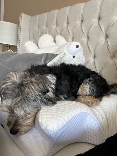 Customer photo of the pillow